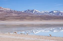 Cristian_Favagrossa_Bolivia_007