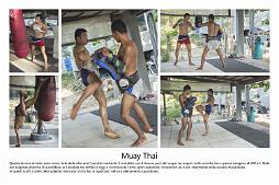 muay thai