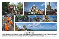 tiger temple